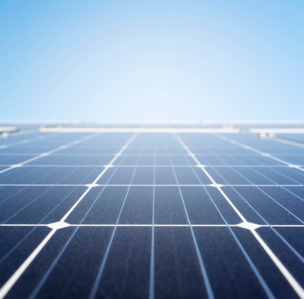 Ground-level view of large solar panel array